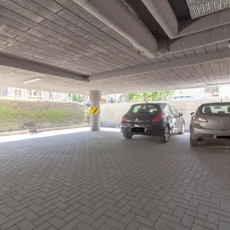 Cohost I Simpsono W-parking Połąga