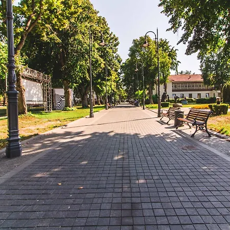 Cohost I Simpsono W-parking Połąga