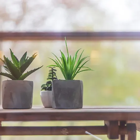 Apartament Cohost I Simpsono W-parking *