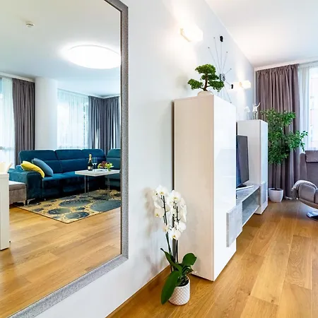 Cohost I Simpsono W-parking * Połąga