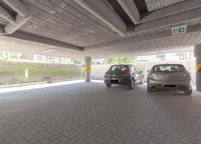 Cohost I Simpsono W-parking Palanga