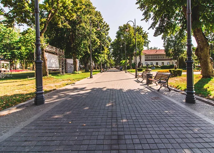 Cohost I Simpsono W-parking Palanga