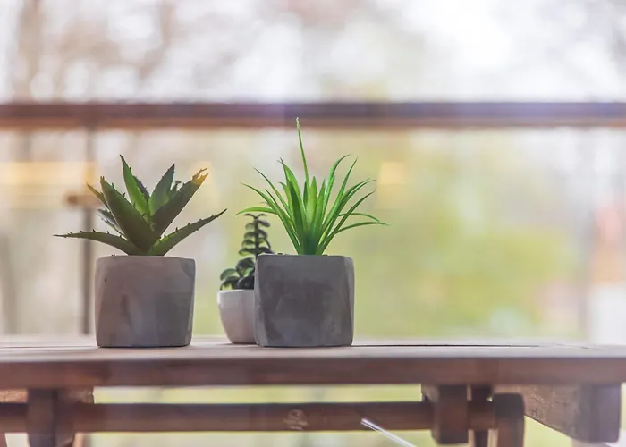 Apartamento Cohost I Simpsono W-parking *