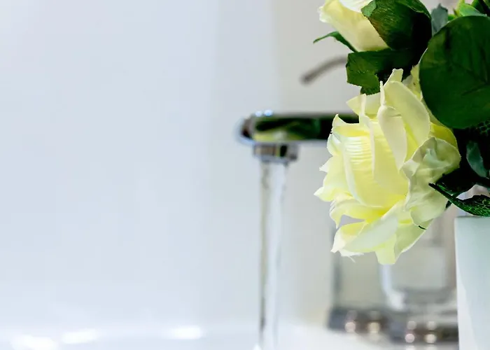 Cohost I Simpsono W-parking * פלאנגה